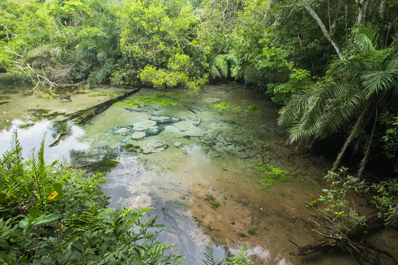 Bonito - Photo by Hudson Garcia (1)